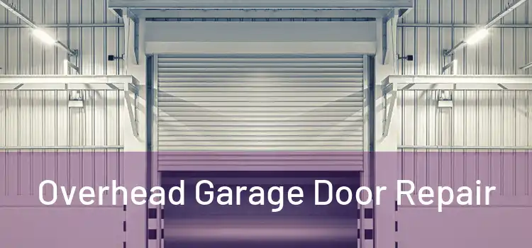  Overhead Garage Door Repair 